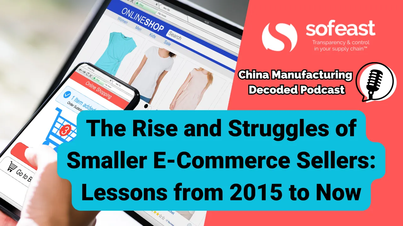 The Rise and Struggles of Smaller E-Commerce Sellers Lessons from 2015 to Now [Podcast]